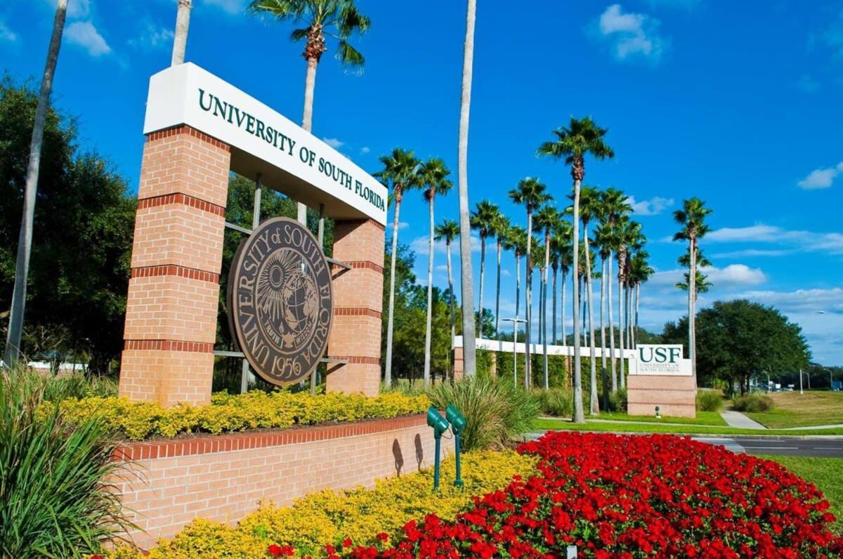 Vila 4Bd 2 Mi To Usf Free Pool + 24 Hour Gym Tampa Exteriér fotografie